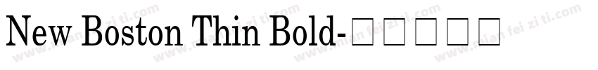 New Boston Thin Bold字体转换
